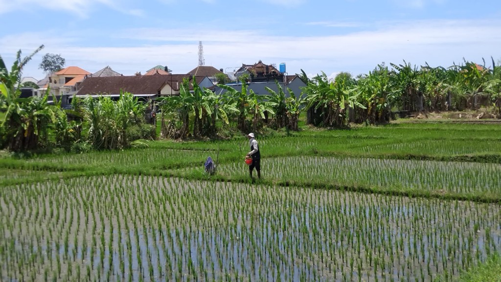 Dokumentasi dari - Bali Seratus Tahun Nanti