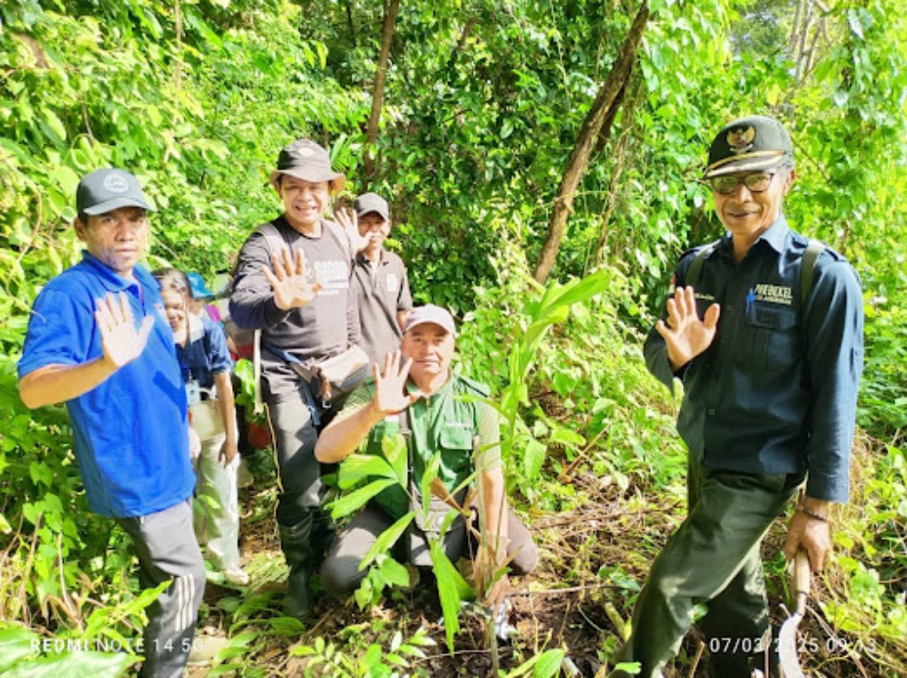 Dokumentasi dari - Jaga Kelestarian Hutan, puluhan Pohon Aren di Tanam Pemkab Buleleng