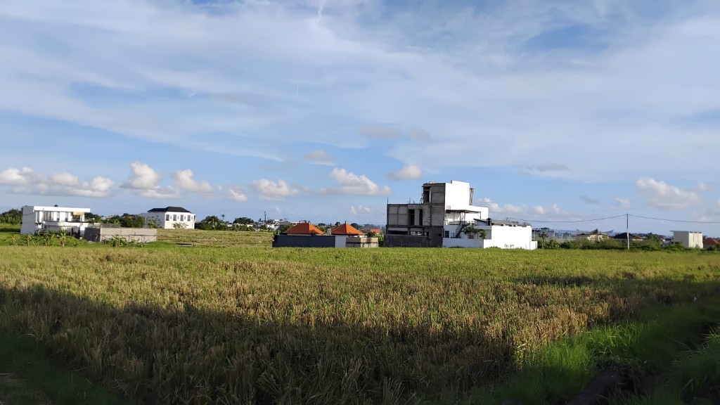 Dokumentasi dari - Belajar Pertanian ke Israel?, Rencana Jalan Tol Gilimanuk - Mengwi Terjang Pertanian Subur