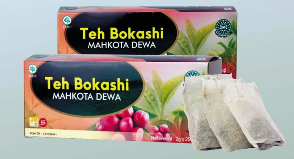 Dokumentasi dari - Dr. Wididana: Transformasi Teh Bokashi, Solusi Sehat dengan Sentuhan Inovasi