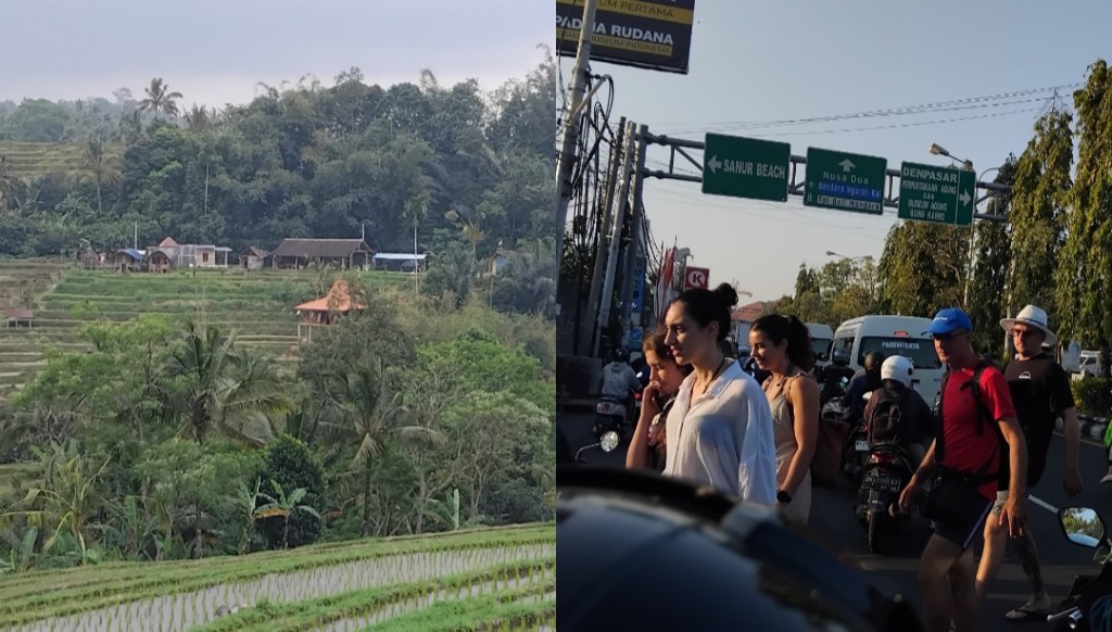 Dokumentasi dari - Bali Gagal Kelola Pariwisata Ramah Lingkungan, Alami Gejala Overtourism hingga Pelanggaran Makin Masif Jatiluwih