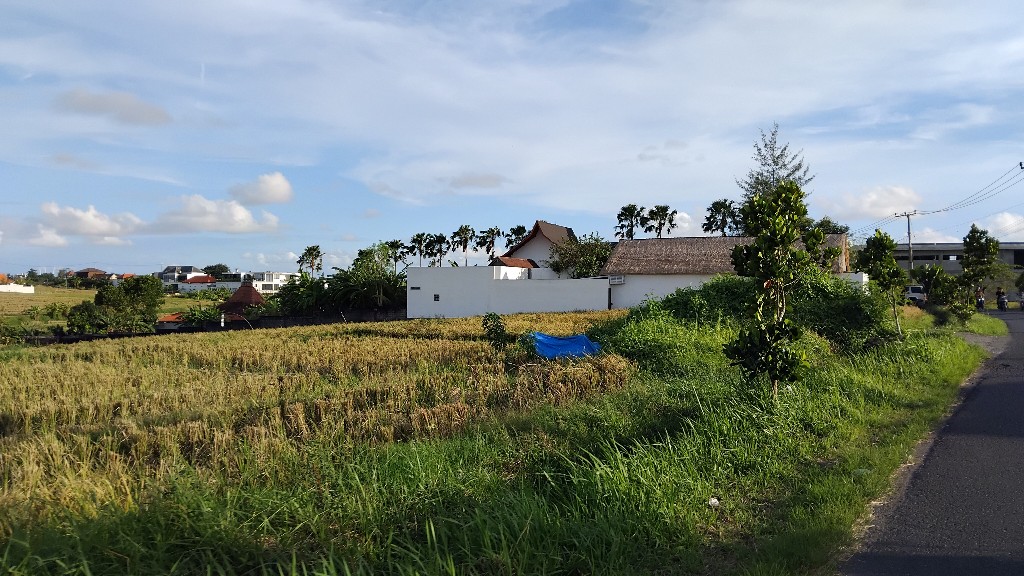 Dokumentasi dari - Bali (yang) Perlahan Meninggalkan Sawahnya