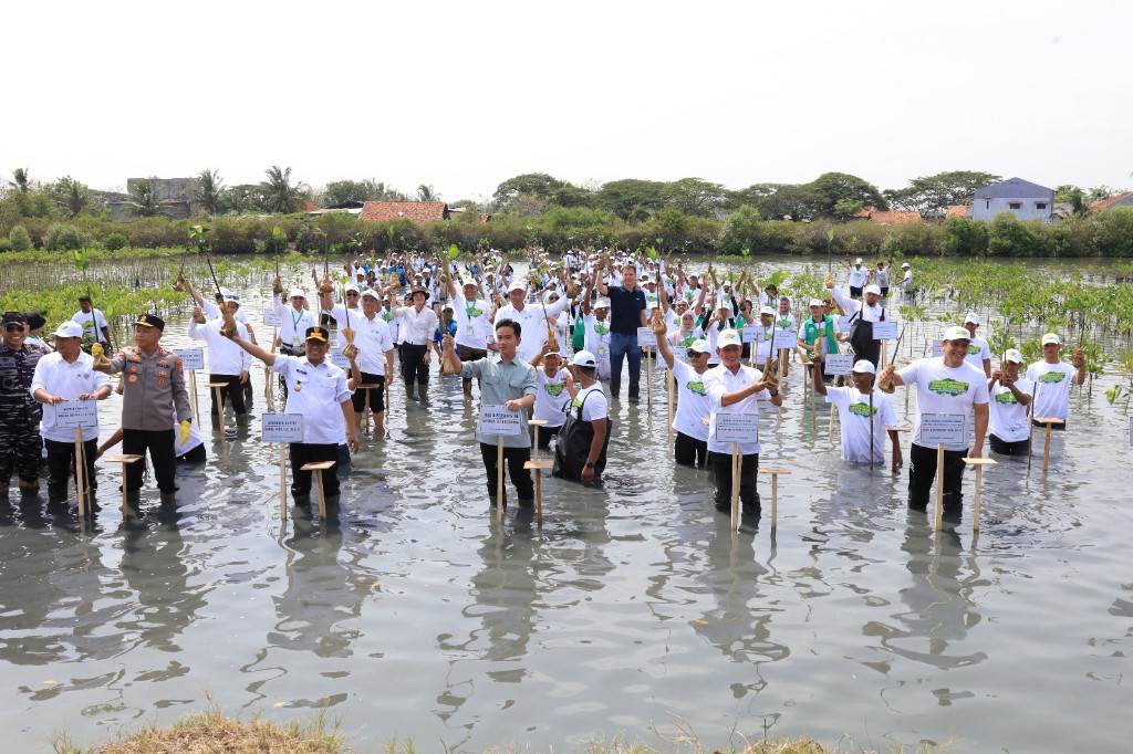Perlindungan dan Pengelolaan Ekosistem Mangrove Nasional, Menyimpan Karbon Empat hingga Lima Kali lebih Besar Dibandingkan Hutan Daratan