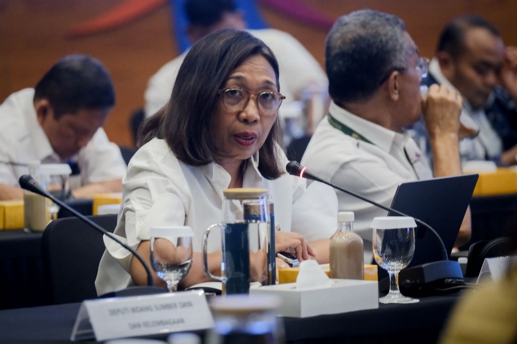 Dokumentasi dari - Indonesia Perkuat Eksistensi di Pasar India Lewat Business Matching di New Delhi