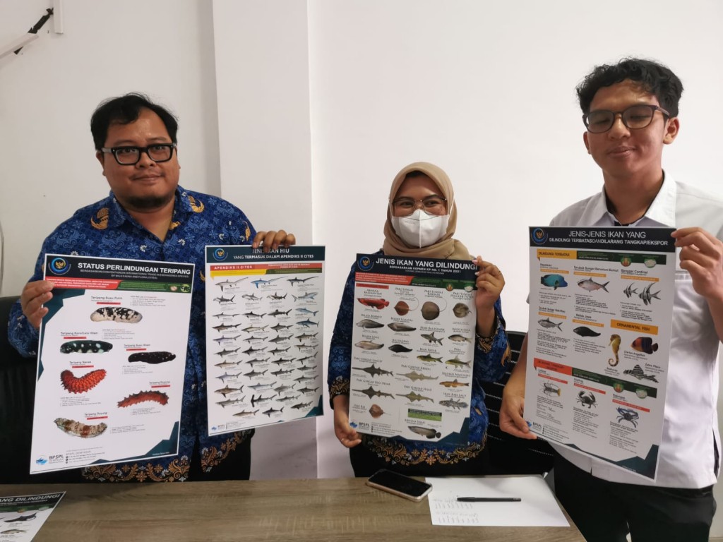 Dokumentasi dari - Sinergi DPR–KKP Diperkuat, BPSPL Denpasar Fokus Konservasi dan Pelayanan Jenis Ikan Dilindungi