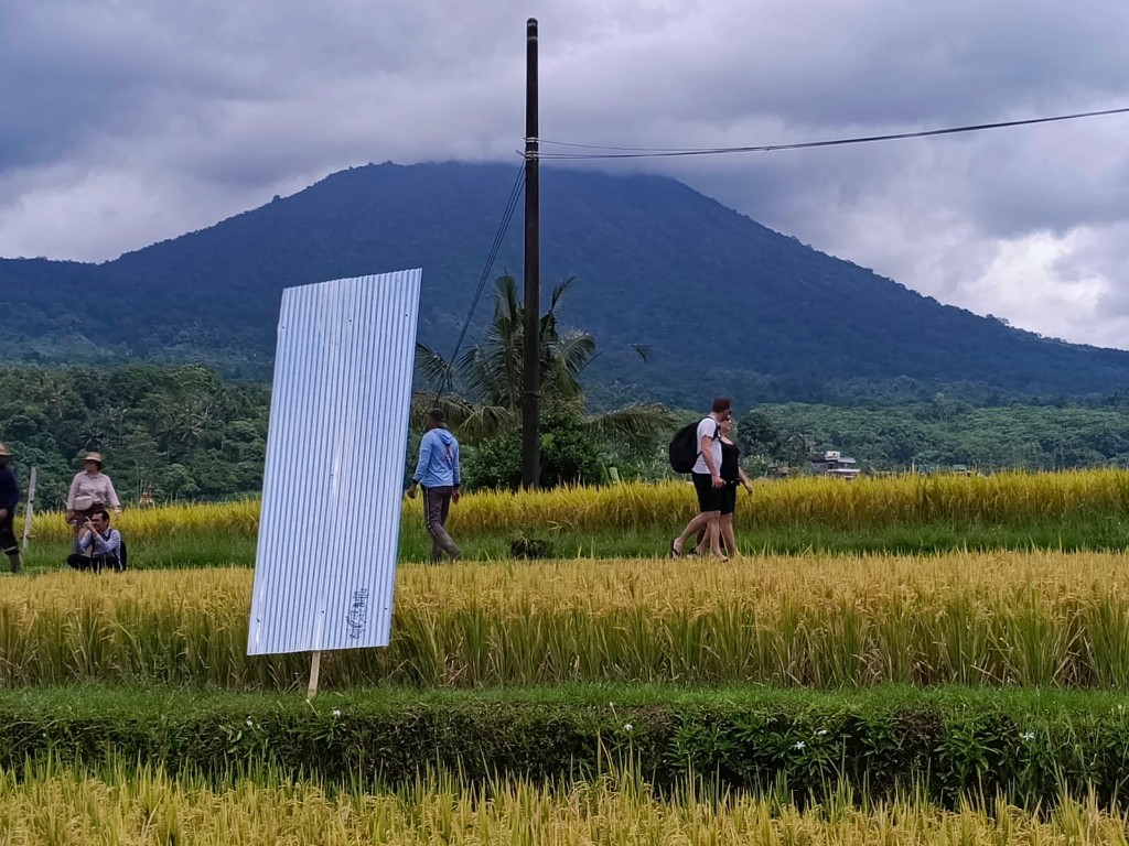 Kisruh Subak Jatiluwih, Ketua DPRD Tabanan Minta Kompensasi Bebaskan Pajak Petani 