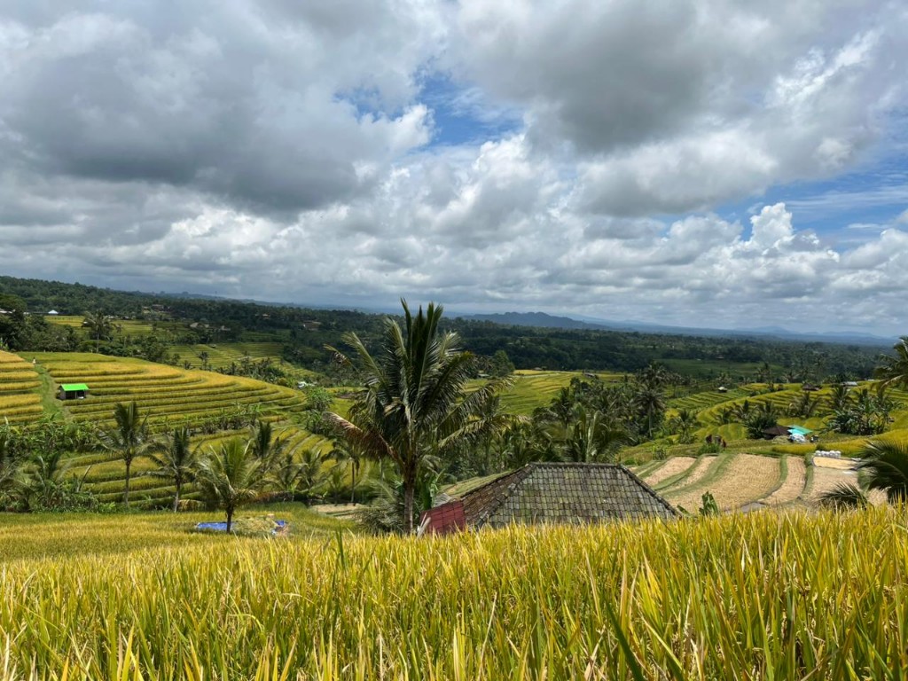 Ingatkan OUV, Gaduh Jatiluwih Diakui UNESCO, Dewantama; Pemerintah Ingkar Janji!