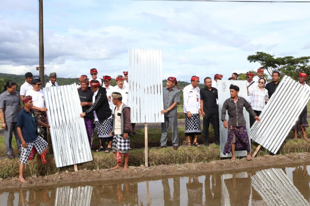 Gaduh WBD UNESCO; Seng Dibongkar, Tabanan Moratorium Pembangunan, Jerman dan Prancis Tak Lagi Jual Paket Jatiluwih