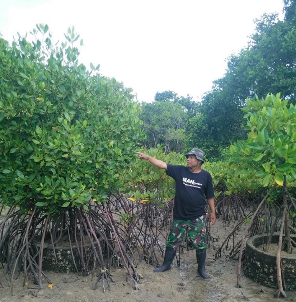 Dokumentasi dari - Pembangunan Pemelastian di Tukad Ngenjung, GASOS Bali Ingatkan Risiko Banjir Rob Jika Ada Pembabatan Mangrove