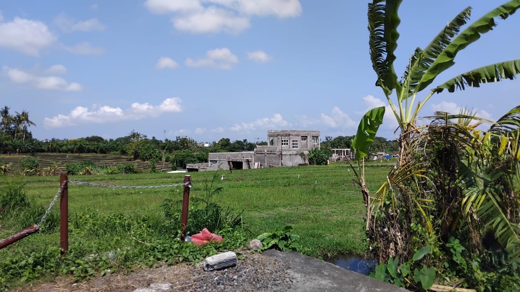 Dokumentasi dari - Sambut Perda 4/2026 soal Alih Fungsi Lahan, Tantangan Krusial Pelestarian Subak, Sarjana; Jangan Sampai menjadi 'Macan Kertas'