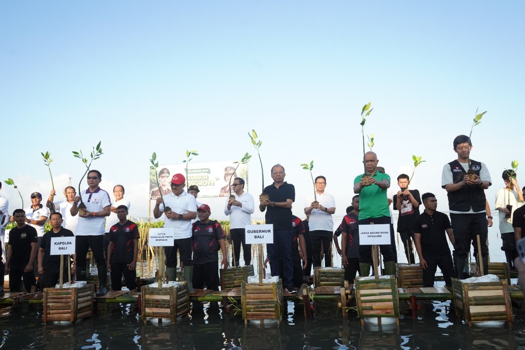 Dokumentasi dari - Tanam Mangrove Bersama Jamintel Kejagung dan Kejati Bali, Gubernur Koster Ajak Sinergi Tingkatkan Cakupan Ruang Hijau Bali
