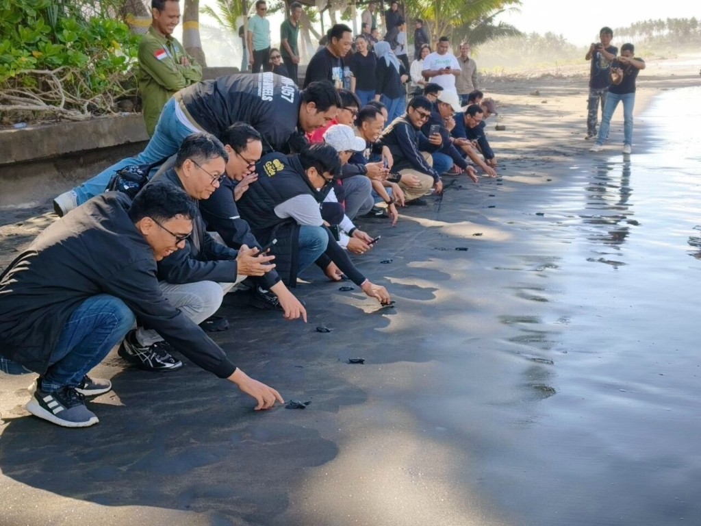 Langkah Kecil, Dampak Besar: Pegadaian Kanwil VII Denpasar Dukung Konservasi Penyu Jagat Kerthi
