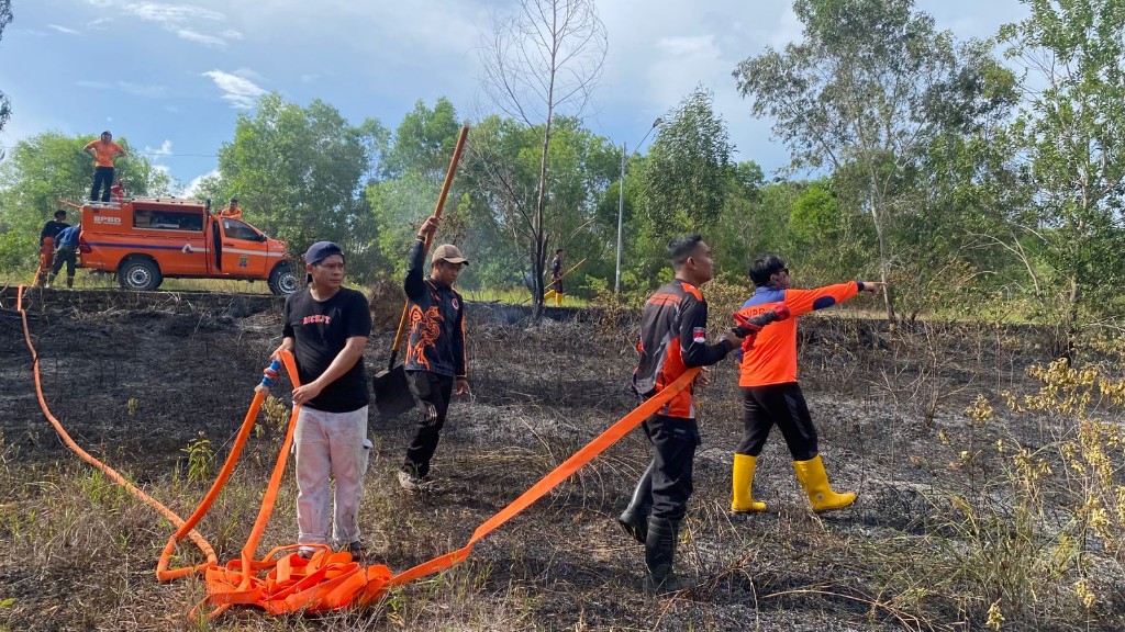 BNPB: Angin Kencang hingga Karhutla Warnai Bencana Melanda Sejumlah Wilayah