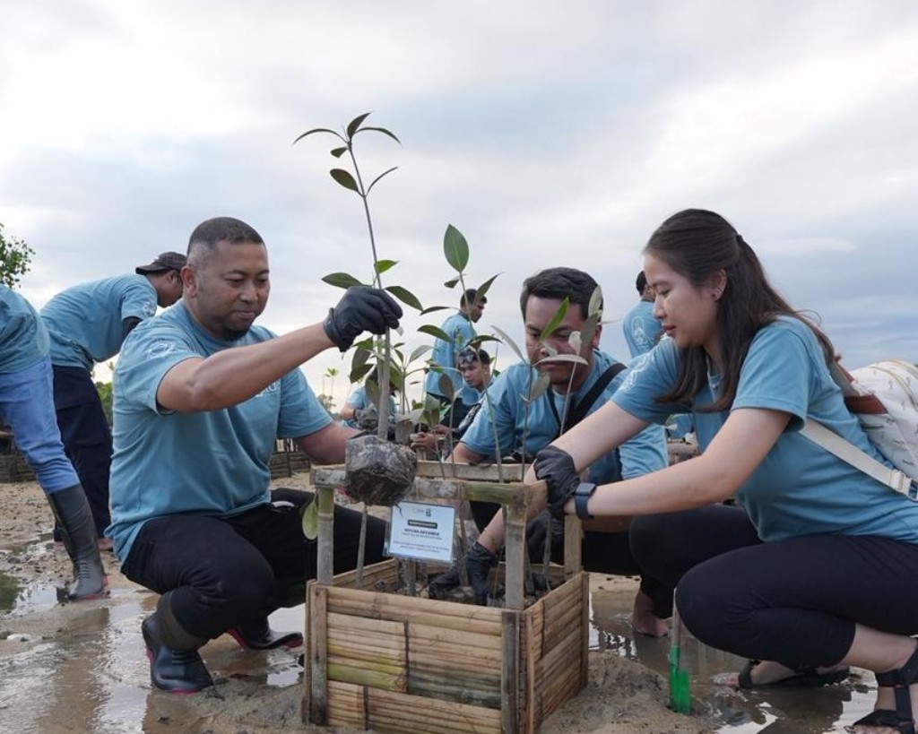 Perkuat Ketahanan Pesisir, ITDC Nusantara Utilitas Tanam 250 Mangrove di Bali