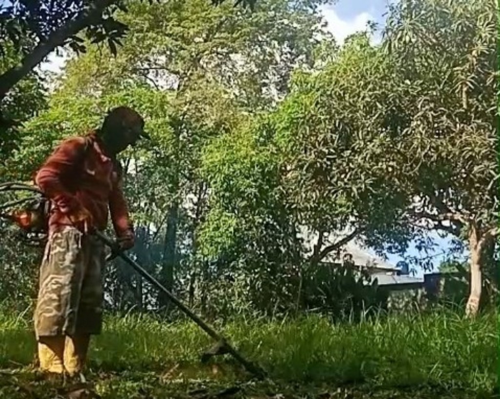 Dokumentasi dari - Umat Hindu Bali Rayakan Tumpek Wariga 23 Mei 2026, Momentum Jaga Kelestarian Alam