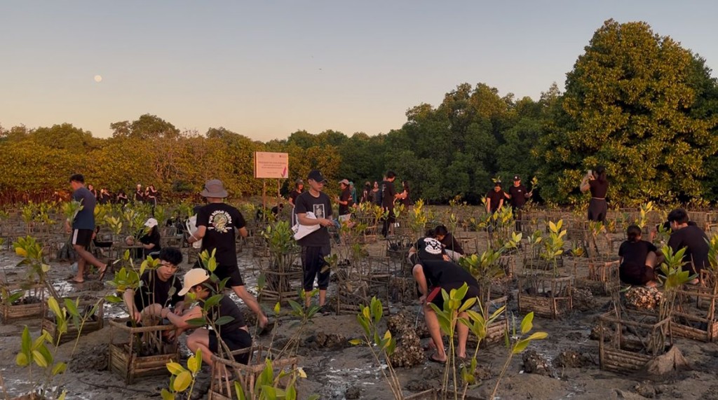 KSE Universitas Udayana Tanam 200 Bibit Mangrove di Nusa Dua, Wujud Nyata Kepedulian Lingkungan