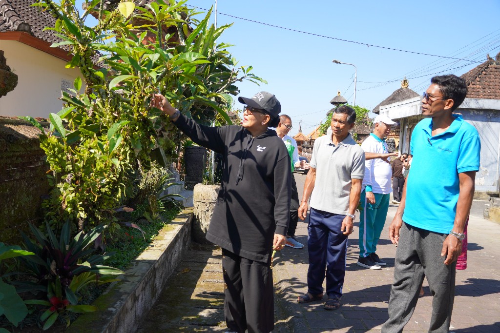 Putri Koster Tinjau Telajakan Desa Adat Batu Lantang, Berikan Apresiasi Rp20 Juta untuk Warga