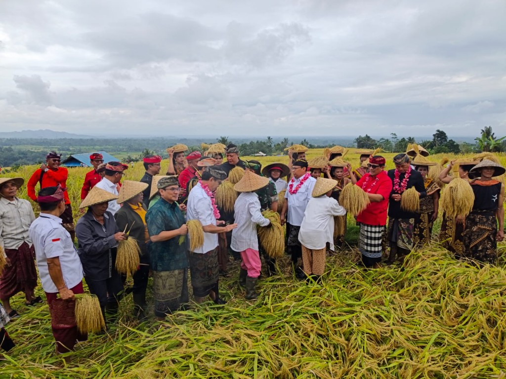 Jatiluwih Festival VII 2026: Merawat Fondasi Agraris di Tengah Bonus Pariwisata