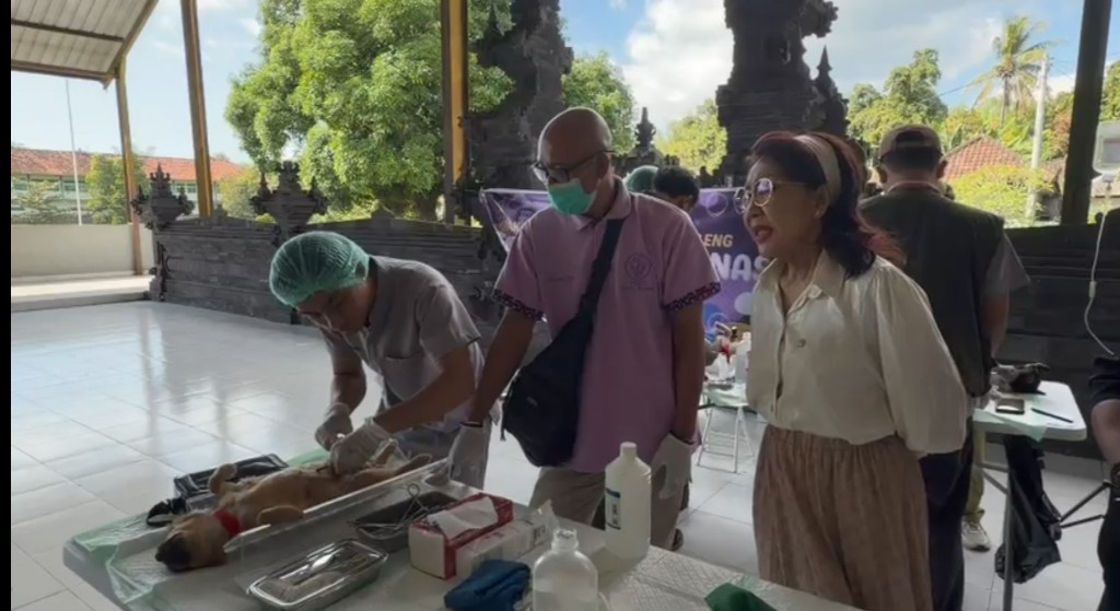 Atasi Lonjakan Kasus Rabies, Tutik Kusuma Wardhani Bersama PDHI Gelar Baksos Sterilisasi dan Vaksinasi Anjing di Buleleng