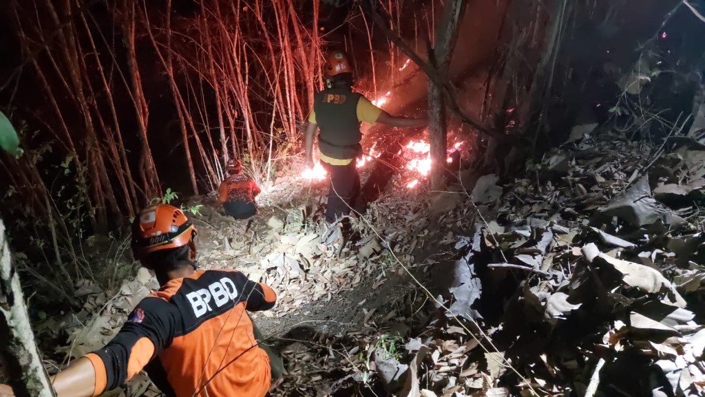 Musim Kemarau Picu Karhutla, BNPB Catat Kebakaran di Jawa hingga Kalimantan