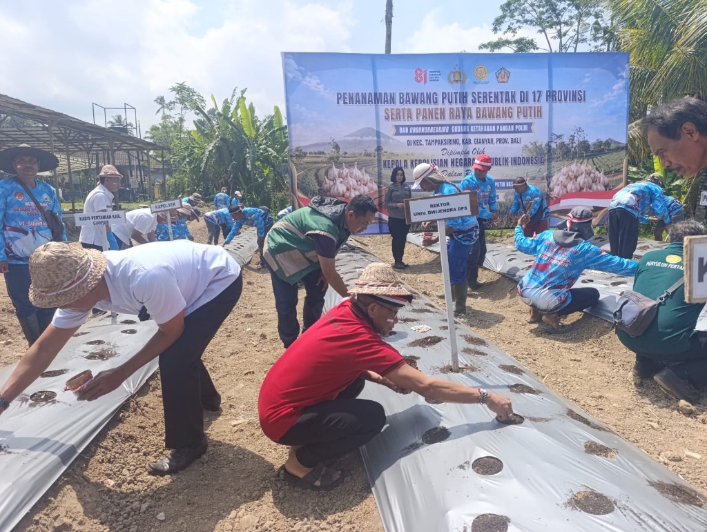 Rektor Dwijendra Dorong Pengembangan Bawang Putih di Bali