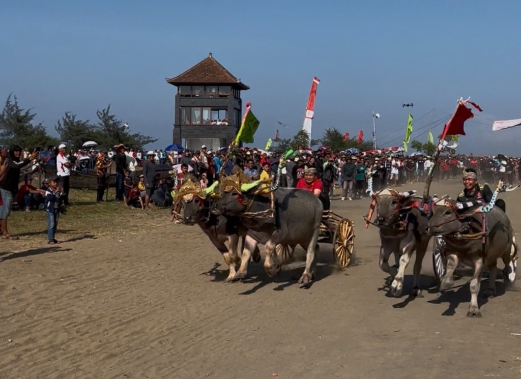 Jadi Joki Mekepung, Kembang- Ipat Jajal Keseruan Festival Mekepung 2026