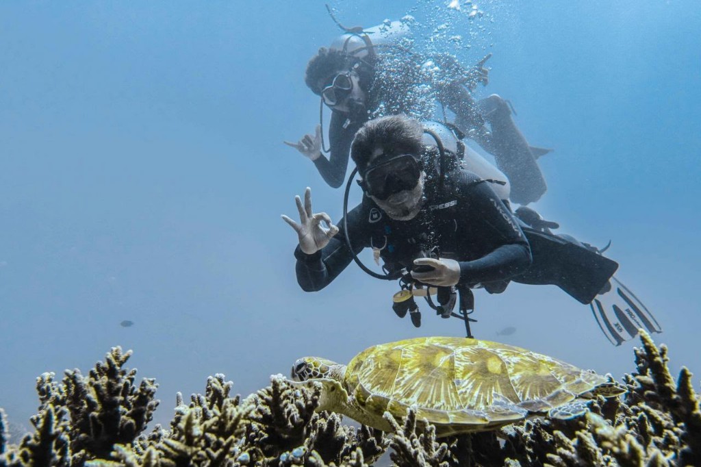 Kemenpar Kecam Perburuan Penyu di Raja Ampat, Pelanggar Siap Hadapi Konsekuensi Hukum