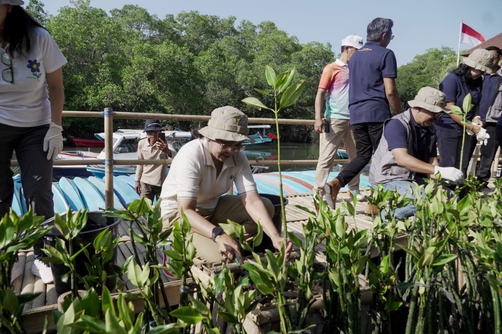 Setengah Abad Tirta Mangutama, 2.000 Mangrove Ditanam untuk Jaga Pesisir Badung