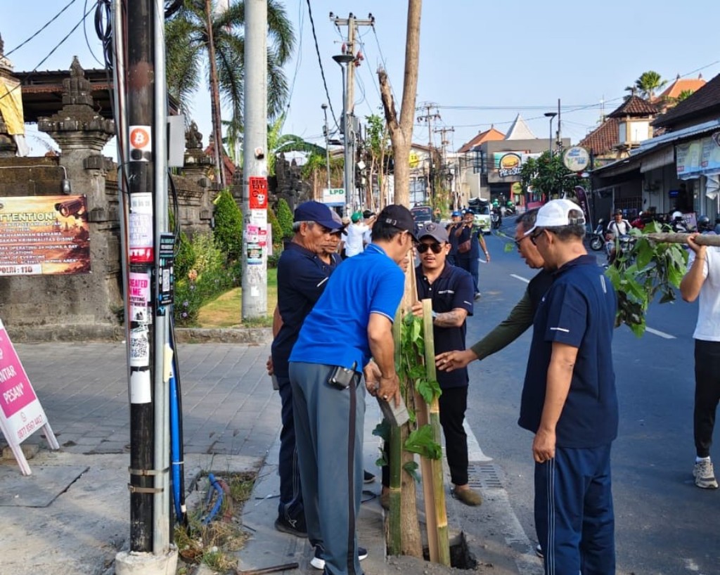 Anggota DPRD Badung Aryantha Lakukan Penanaman Pohon Perindang di Jalan Pantai Nelayan Canggu