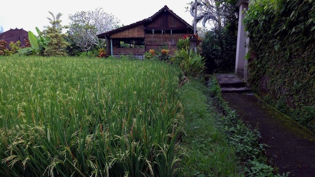 Luxury Recovery Kian Menguat: Burnout dan Kesehatan Mental di Bali