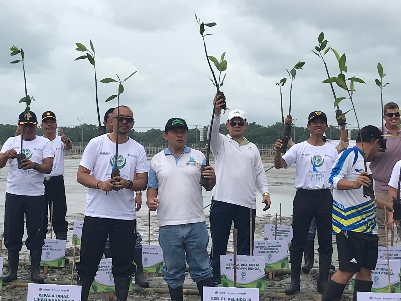 Dokumentasi dari - Pelindo III Tanam 50.000 Bibit Bakau di Pelabuhan Benoa