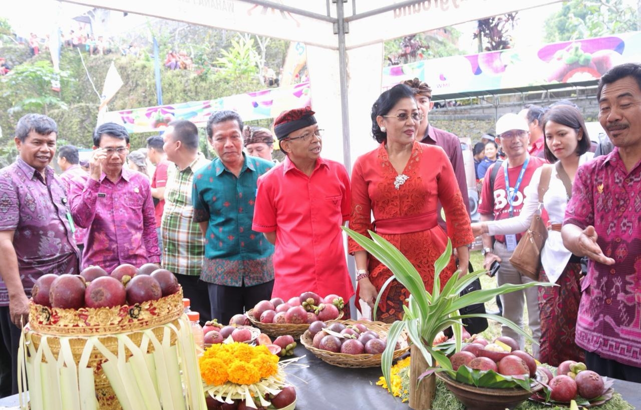 Dokumentasi dari - Gubernur Koster Rancang Festival Agro Tahunan