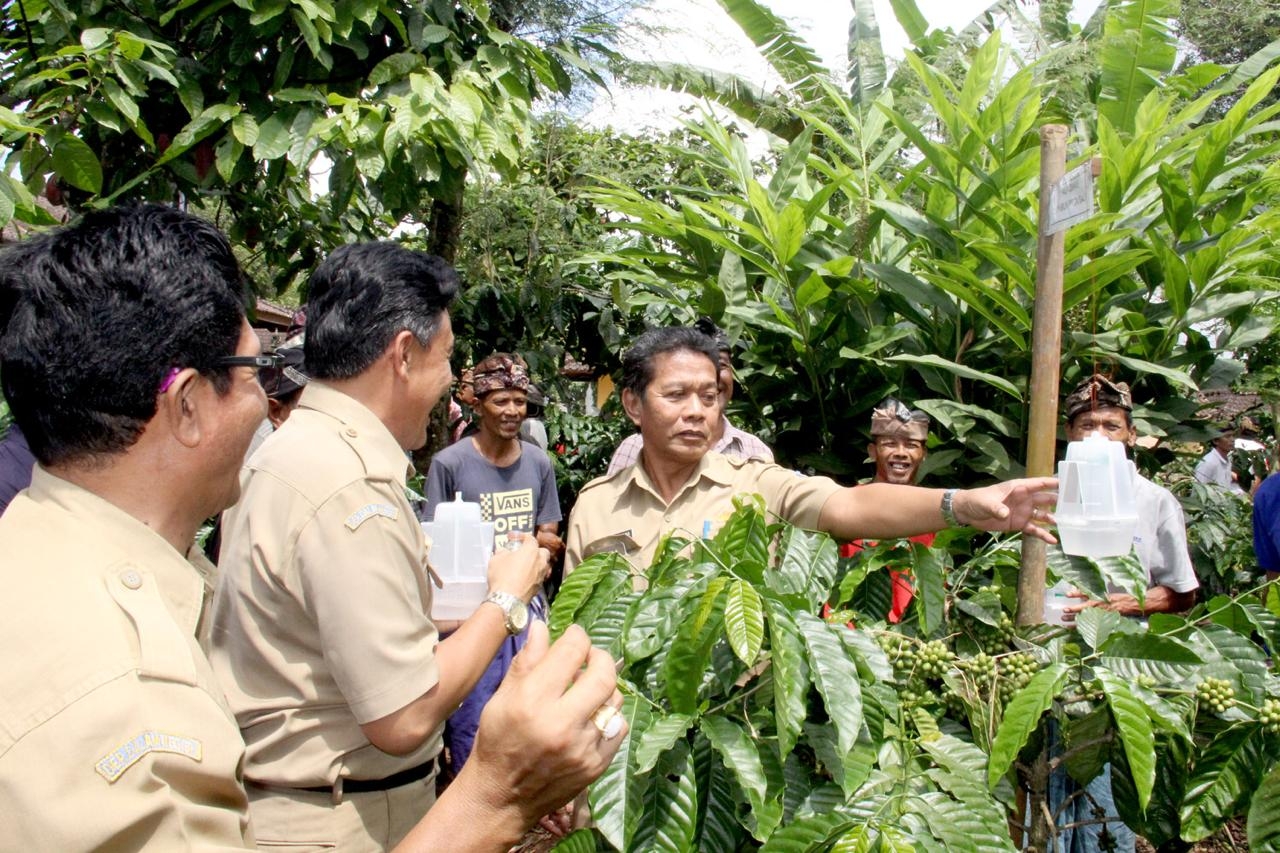 Dokumentasi dari - Petani Bali Dituntut Hasilkan Kopi berkualitas, Organik dan Ramah Lingkungan