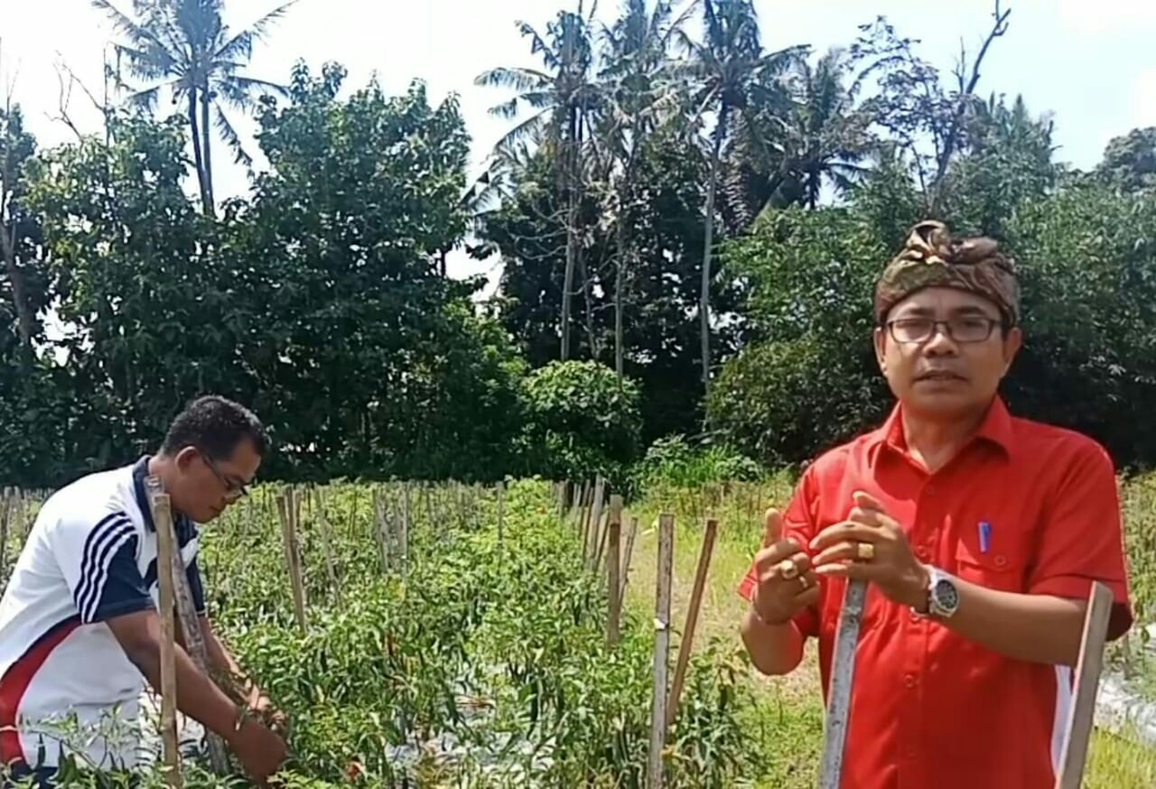 Dokumentasi dari - Parasit Alami Tanaman, Sunada Inovasikan Bio-inokulum Tambahkan Trichoderma