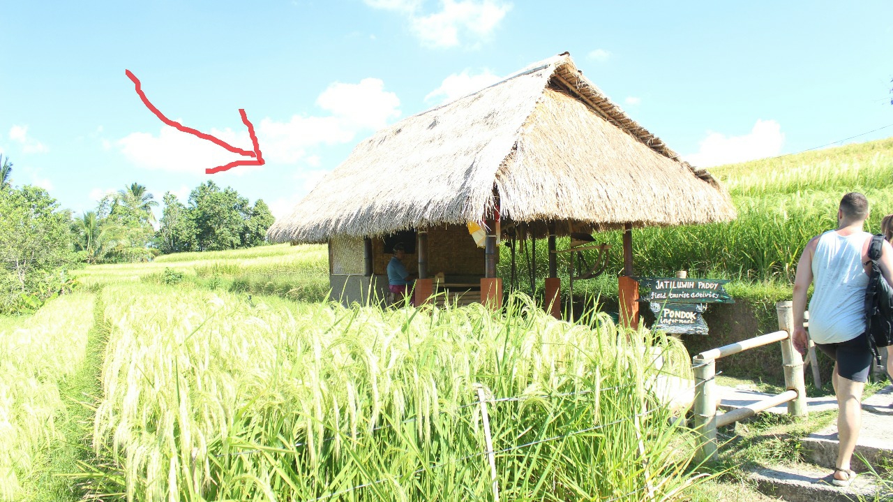 Dokumentasi dari - Petinggi Universitas Nasional Dong Hwa Taiwan, Belajar Subak di Bali