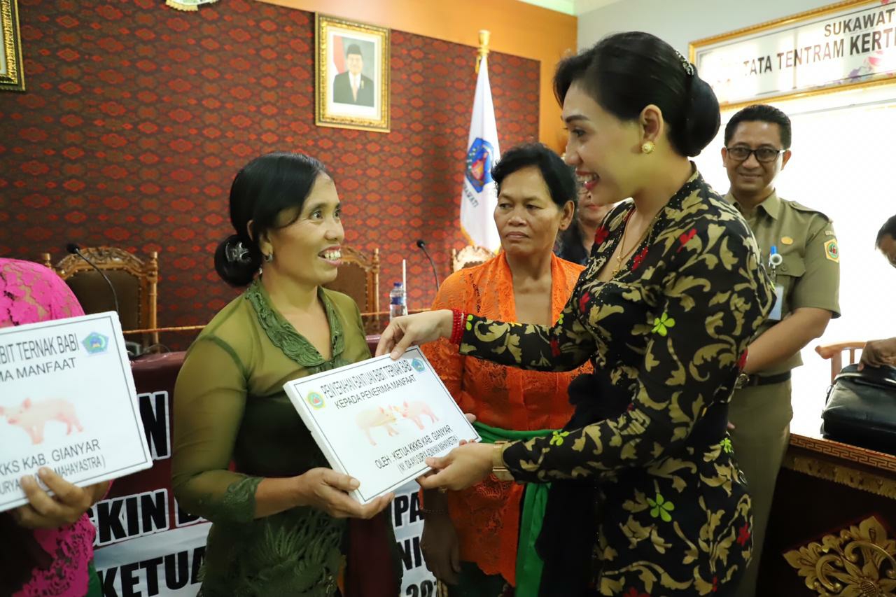 Dokumentasi dari - K3S Bersama Dinsos Gianyar, Serahkan Bibit Babi kepada Warga Kurang Mampu
