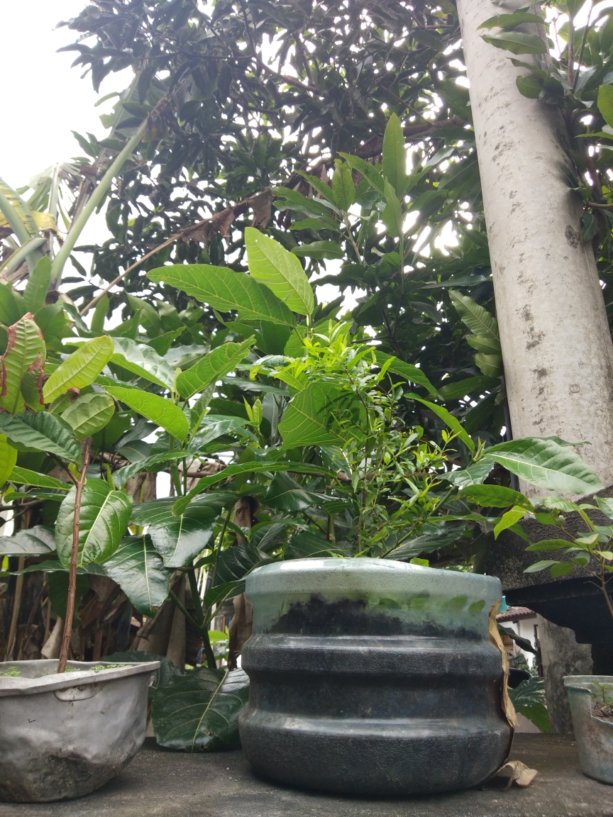 Dokumentasi dari - Masyarakat Perlu Waspada, Bali Tengah Berpotensi Hujan Disertai Angin Kencang