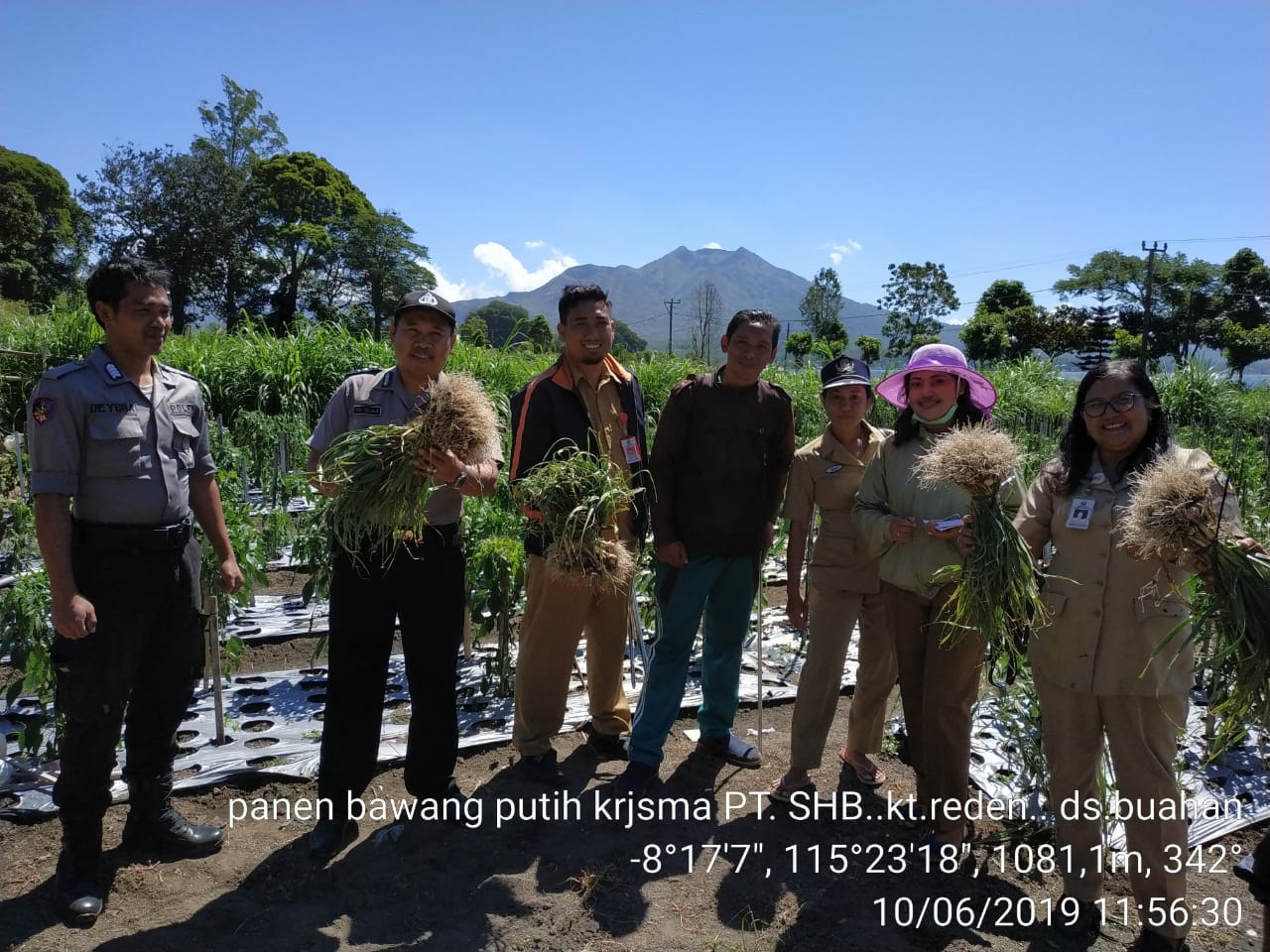 Dokumentasi dari - Pemerintah Kembalikan Kejayaan Bawang Putih Kintamani