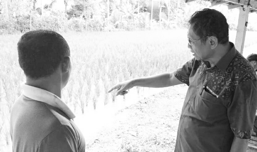 Dokumentasi dari - Gajih ke - 13 untuk Petani