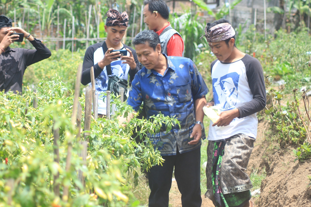Dokumentasi dari - Antisipasi Keterbatasan Stok Jelang Galungan dan Kuningan