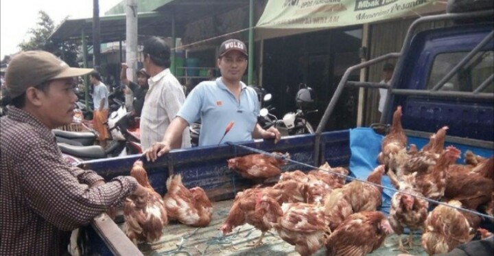 Dokumentasi dari - Pedagang di Seririt Rasakan Berkah Galungan