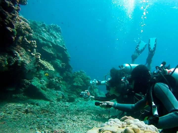 Dokumentasi dari - Menikmati Surga Bawah Laut di Kabupaten Karangasem