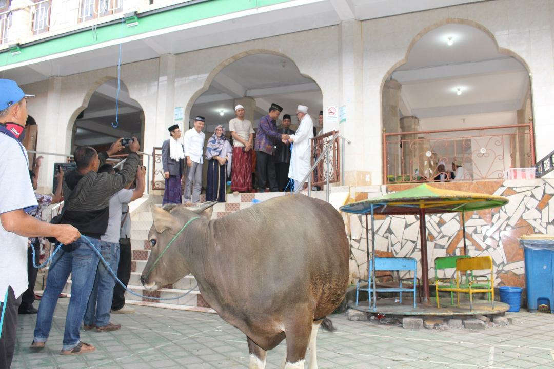 Dokumentasi dari - Bupati Made Gianyar  Serahkan Hewan Qurban