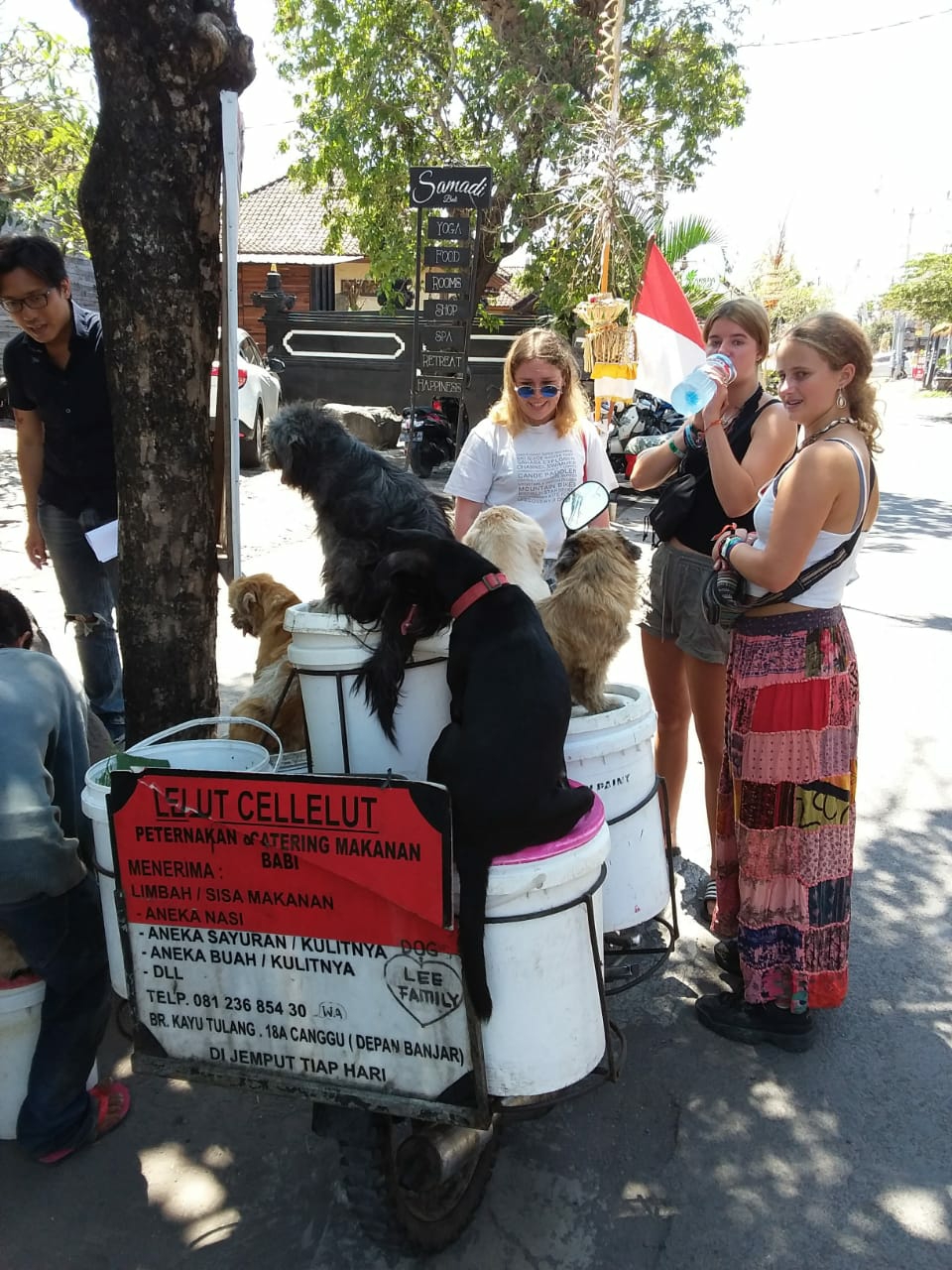 Dokumentasi dari - I Ketut Lelut, Pemungut Anjing Jalanan Jadi Tontonan Turis