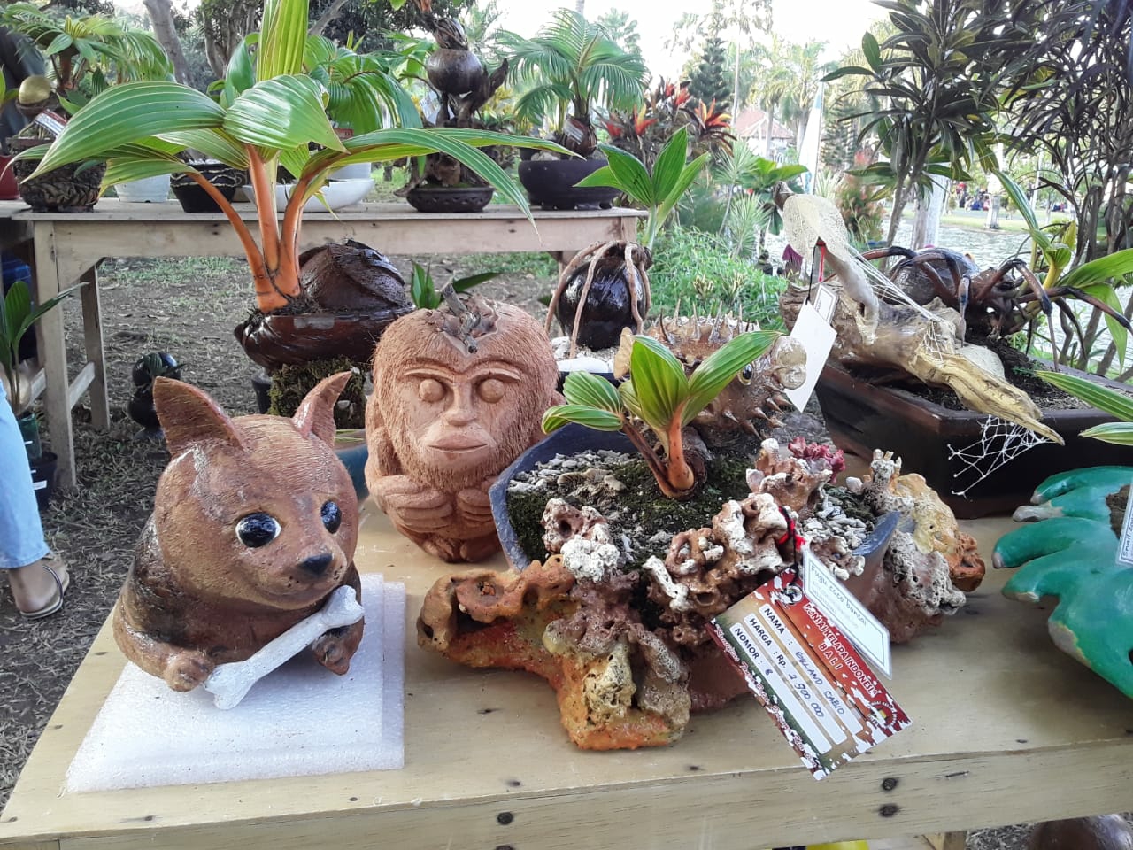 Dokumentasi dari - Berbagai Jenis Tanaman Kelapa dari Seluruh Indonesia Dipamerkan di Festival Subak