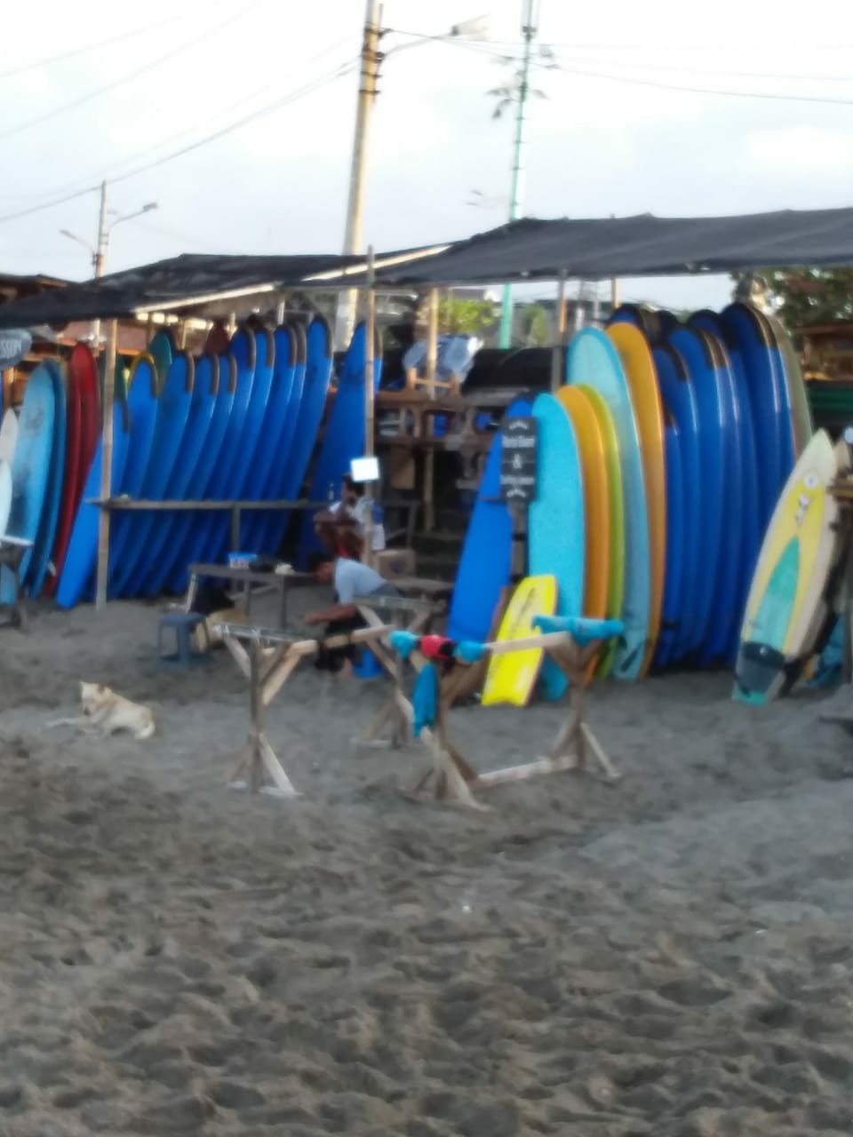 Dokumentasi dari - Penyewaan Papan Surfing Miliki Prospek Cerah 