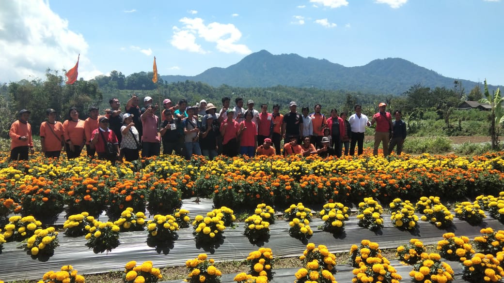Dokumentasi dari - Demplot Bali Gemitir Pamerkan Varietas Baru, APG Bantu Sejahterakan Petani