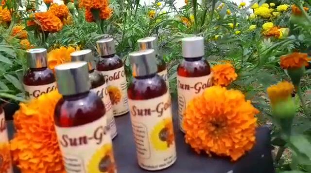 Dokumentasi dari - Padukan Minyak Gemitir dan Minyak Biji Matahari Ciptakan Sun-Gold Oil