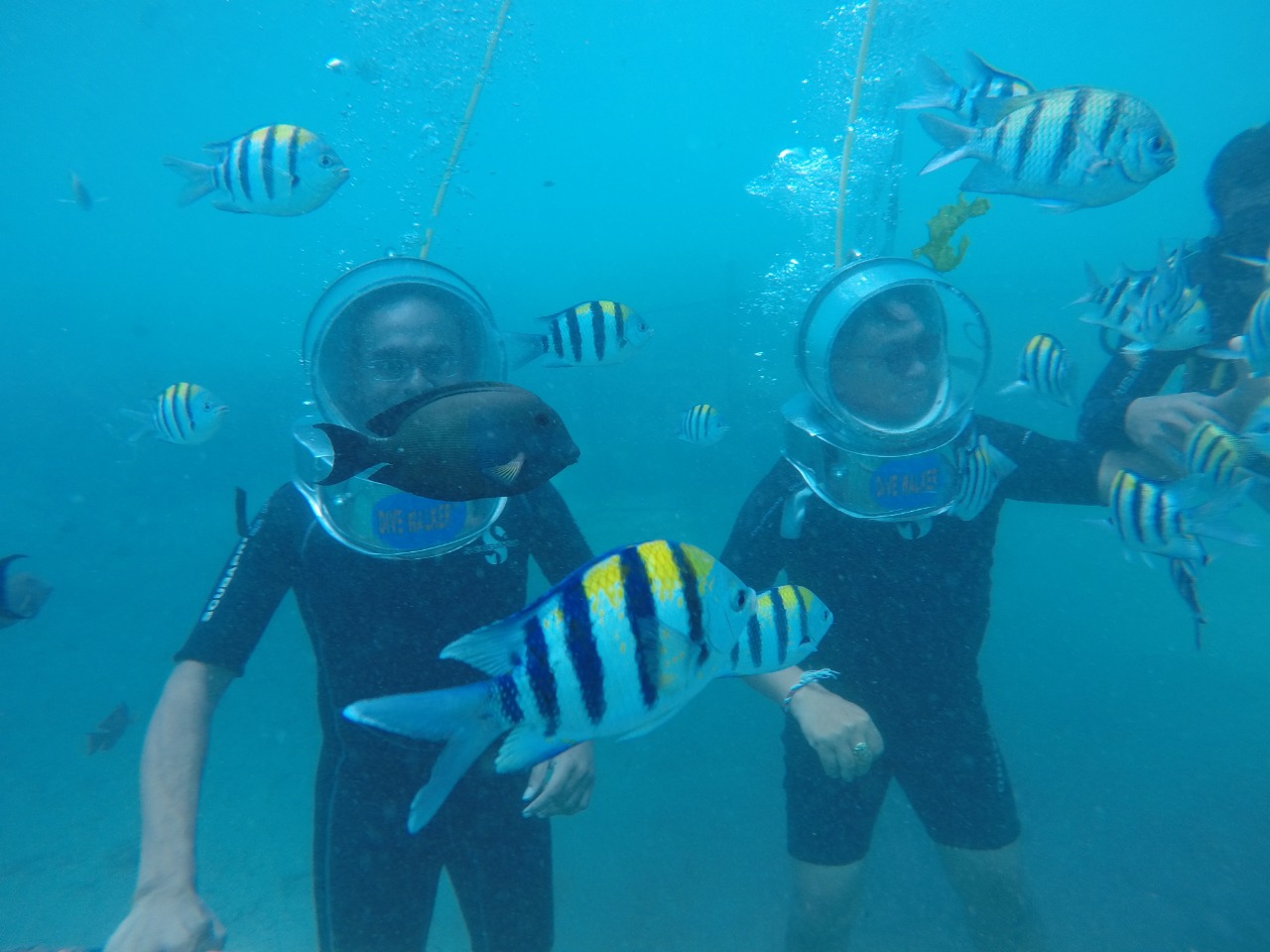 Dokumentasi dari - Eksplore Dive dan Watersport Tirta Arum Nusa Dua