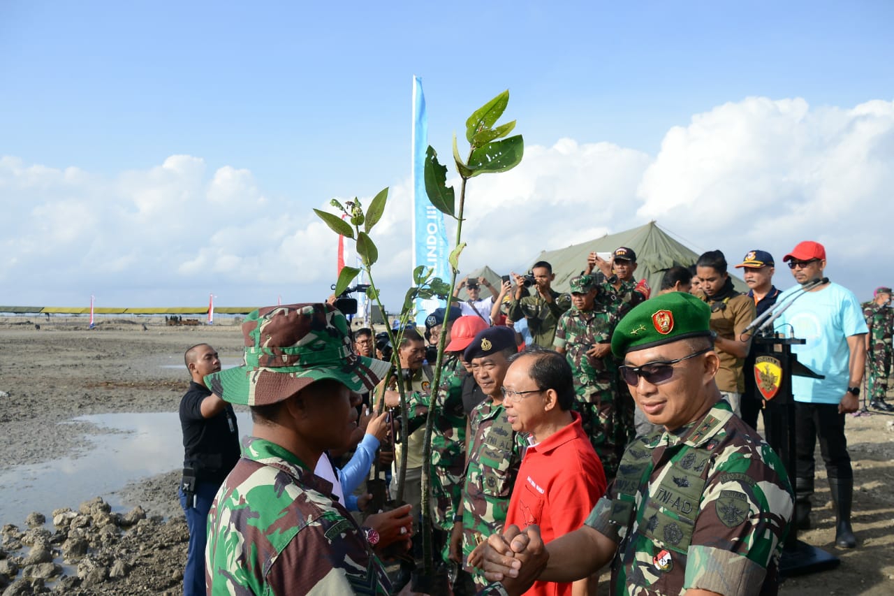 Dokumentasi dari - Kawasan Eks Reklamasi Pelindo Akan  Dijadikan Hutan Kota